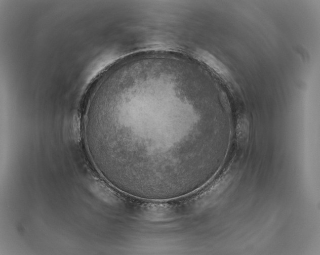 X0000112511310200908171325