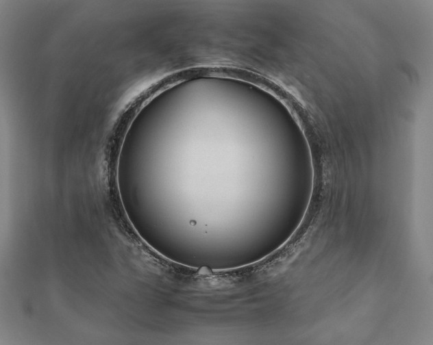 X0000112511311200908171325