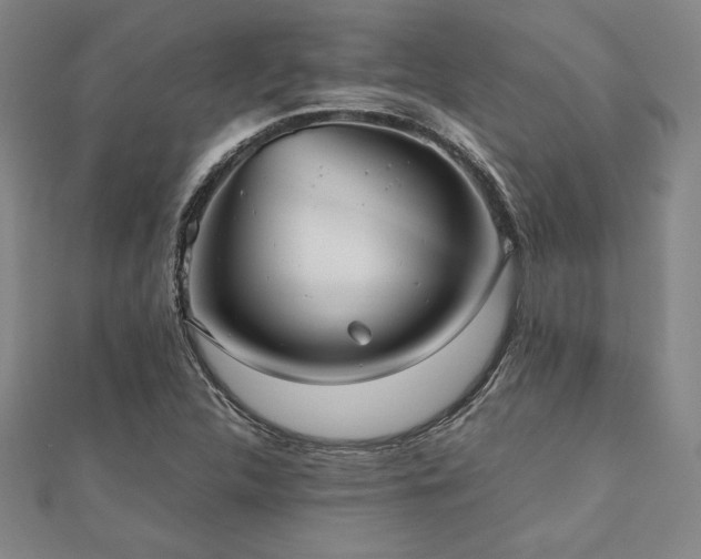 X0000112511312200908171325