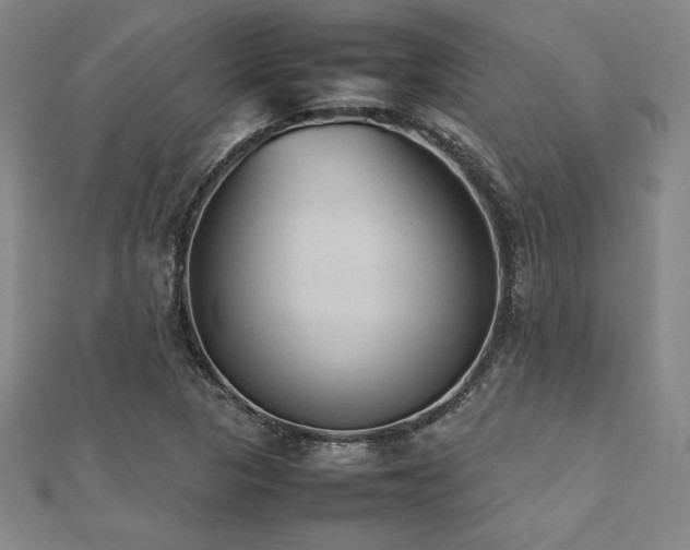 X0000112511313200908171325