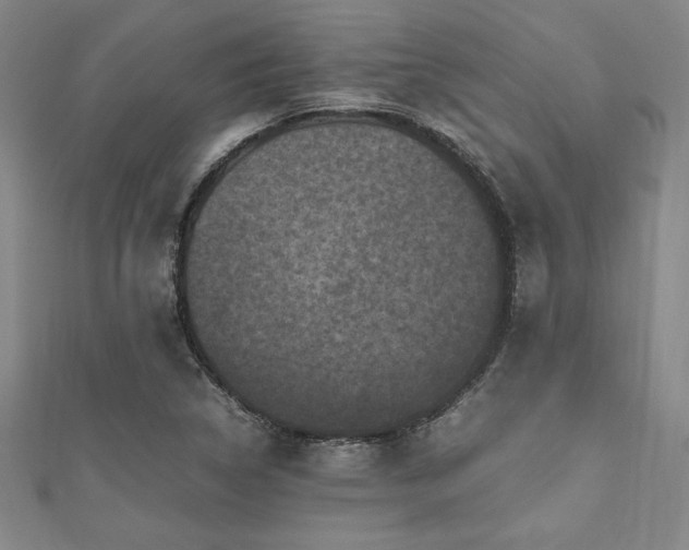 X0000112511314200908171325