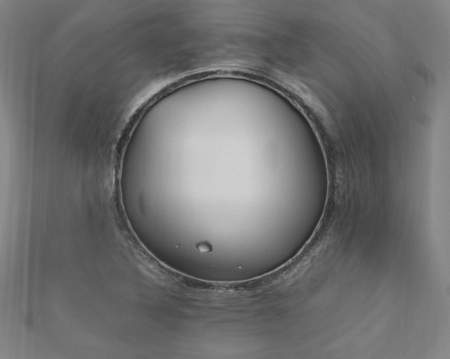 X0000112511316200908171325