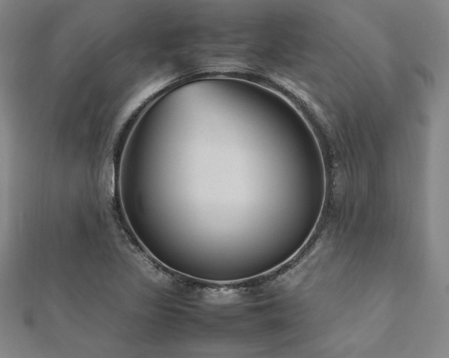 X0000112511317200908171325