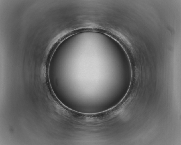 X0000112511318200908171325