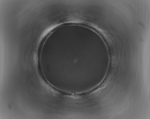 X0000112511319200908171325