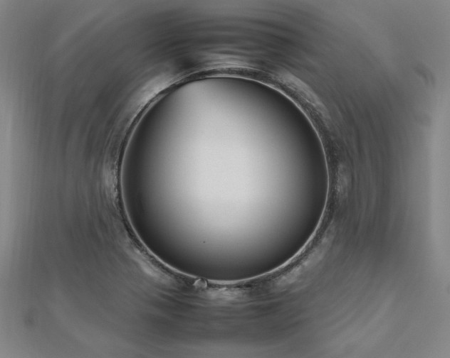 X0000112511321200908171325