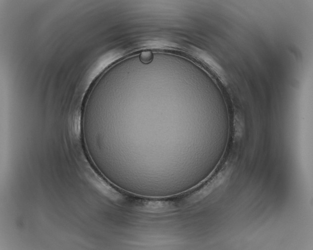 X0000112511322200908171325