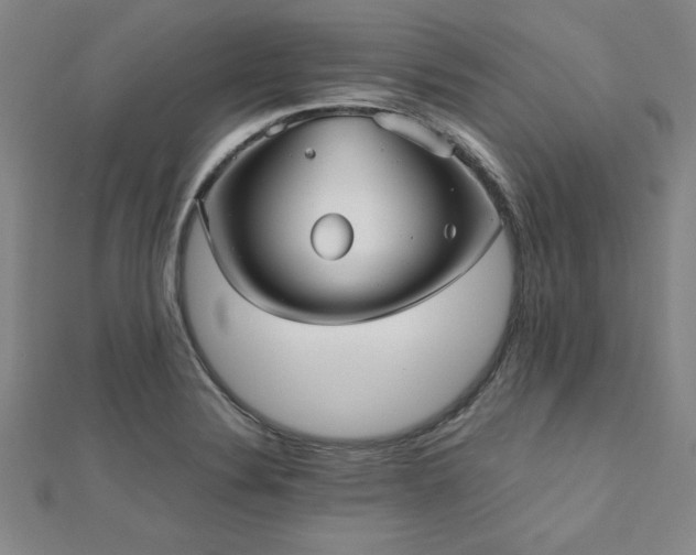 X0000112511324200908171325