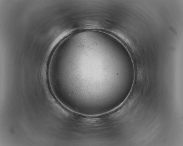 X0000112511325200908171325
