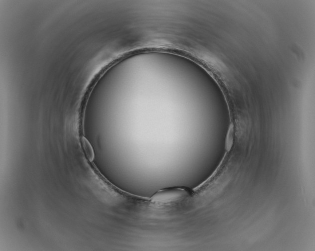 X0000112511326200908171325