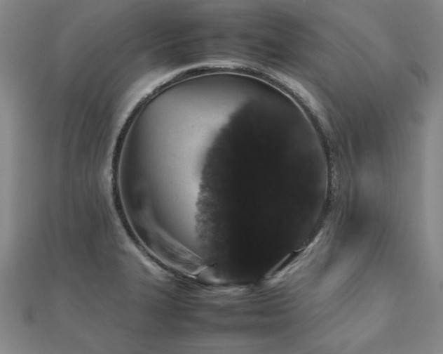 X0000112511327200908171325