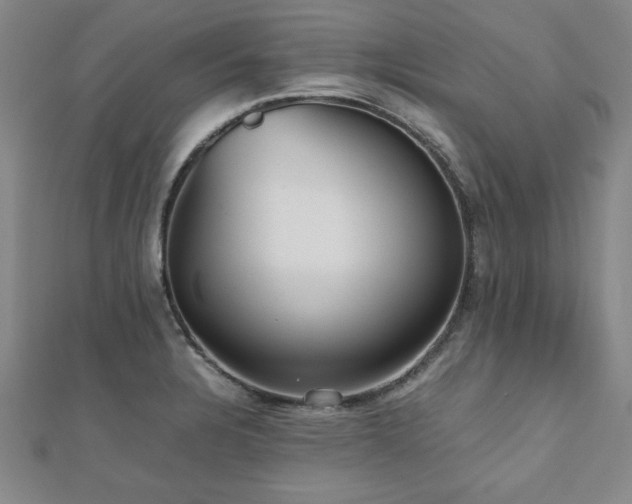 X0000112511328200908171325