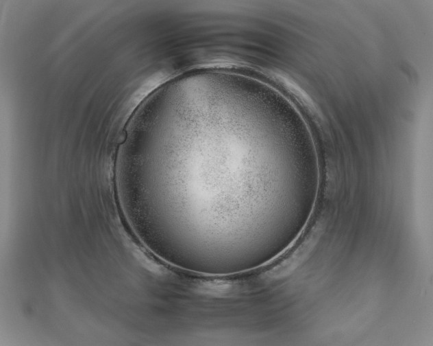 X0000112511329200908171325