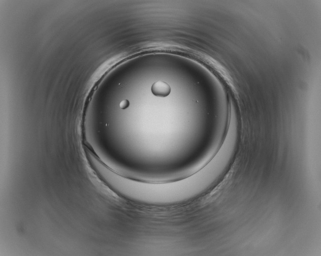 X0000112511330200908171325