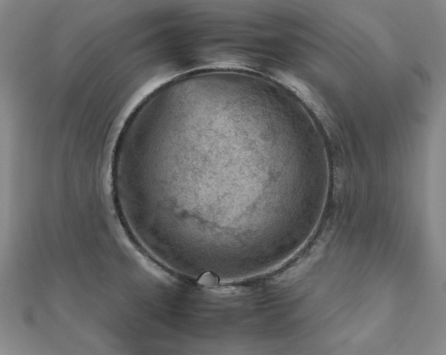 X0000112511331200908171325