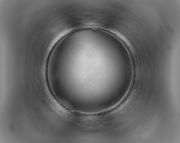 X0000112511333200908171325