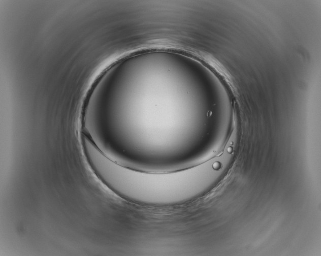 X0000112511334200908171325