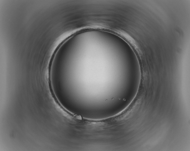 X0000112511335200908171325