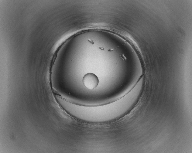 X0000112511336200908171325