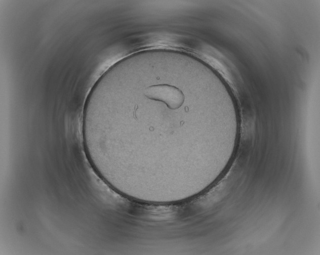 X0000112511338200908171326