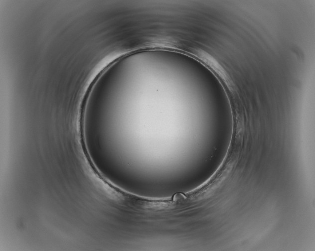 X0000112511339200908171326