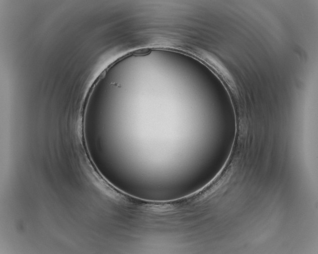 X0000112511340200908171326