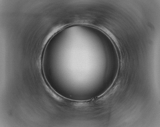 X0000112511341200908171326