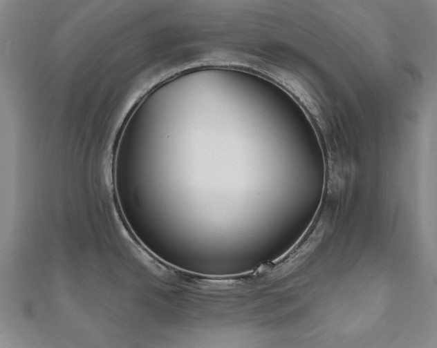 X0000112511342200908171326