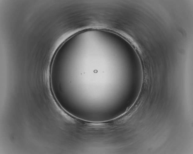 X0000112511343200908171326