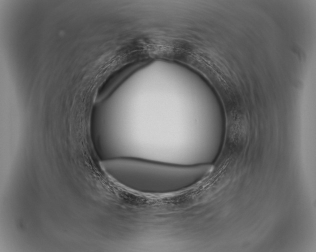 X0000112511345200908171325
