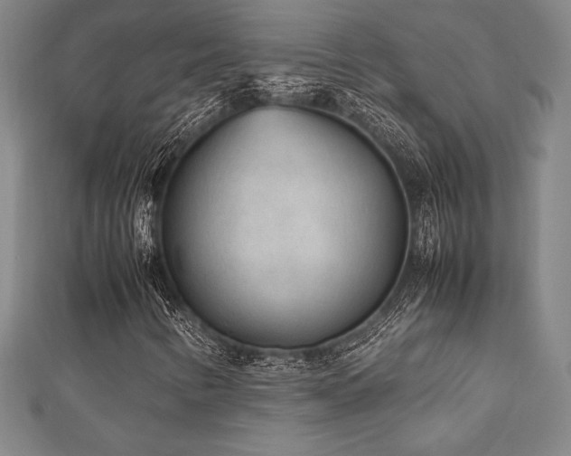 X0000112511346200908171325