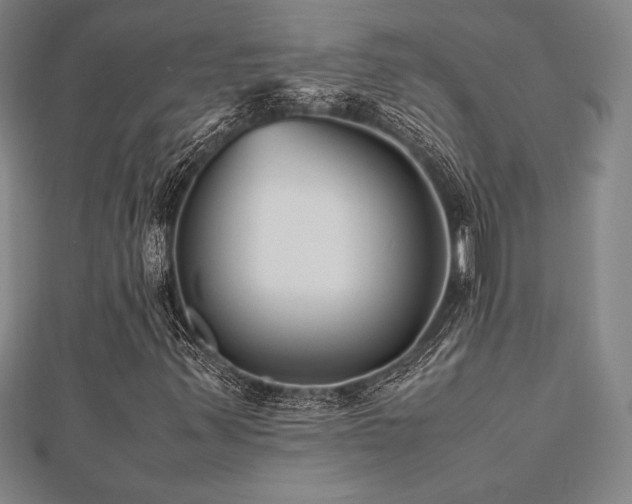 X0000112511347200908171325