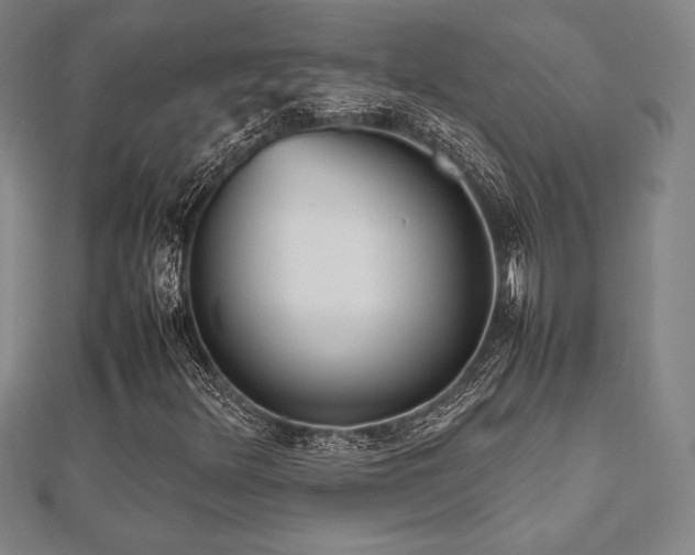 X0000112511348200908171325