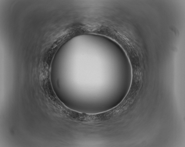 X0000112511349200908171325