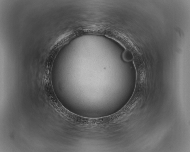 X0000112511350200908171325