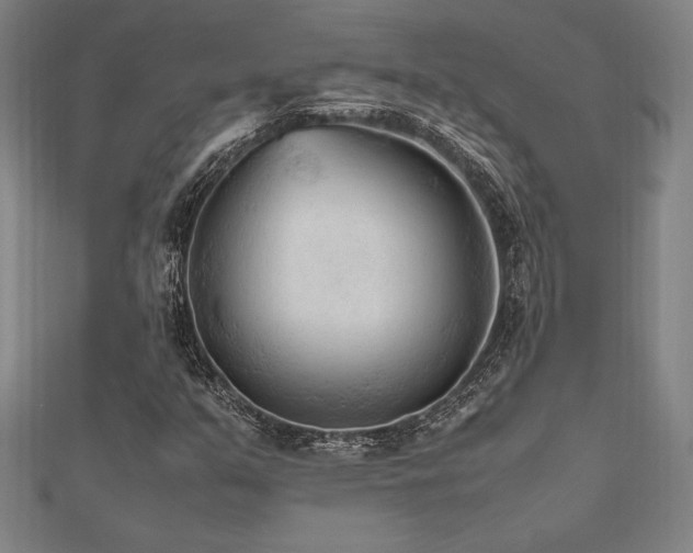 X0000112511351200908171325