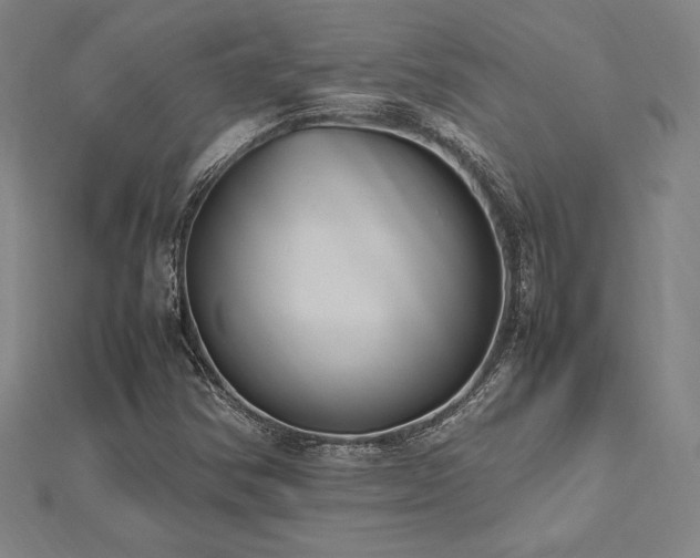 X0000112511354200908171325