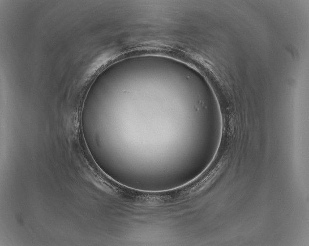 X0000112511355200908171325