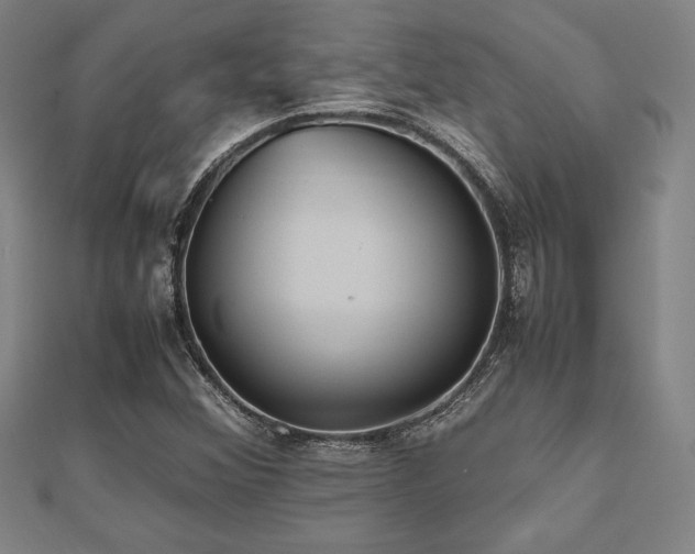 X0000112511356200908171325