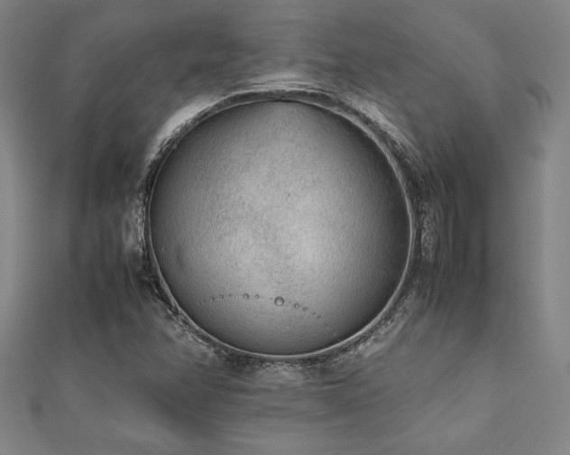 X0000112511358200908171325