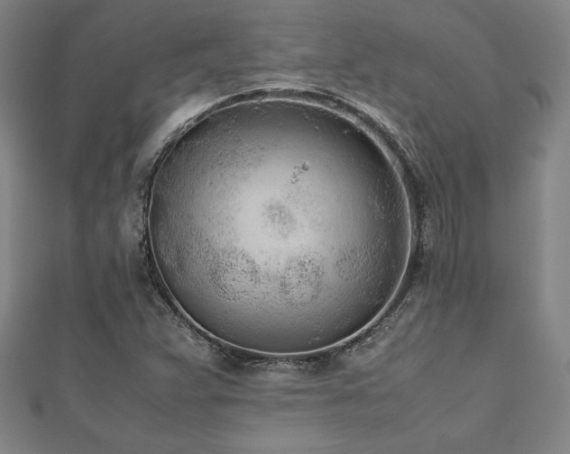 X0000112511359200908171325