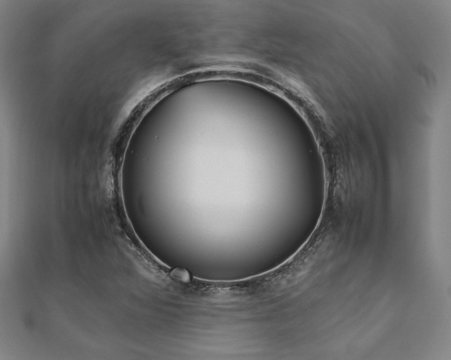 X0000112511360200908171325