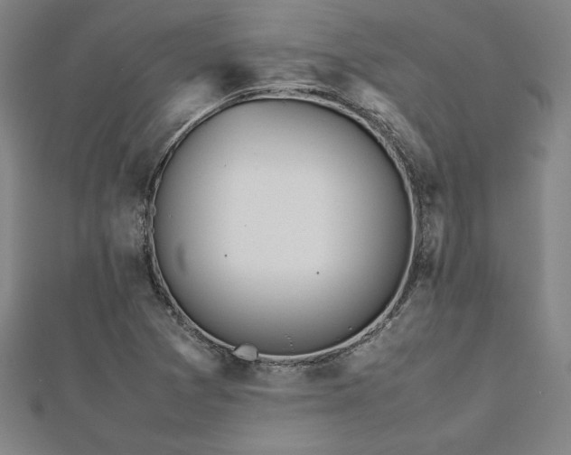 X0000112511361200908171325