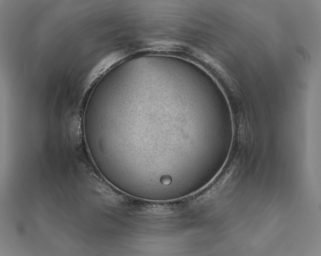 X0000112511362200908171325