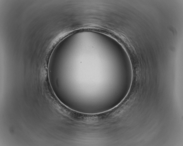 X0000112511363200908171325