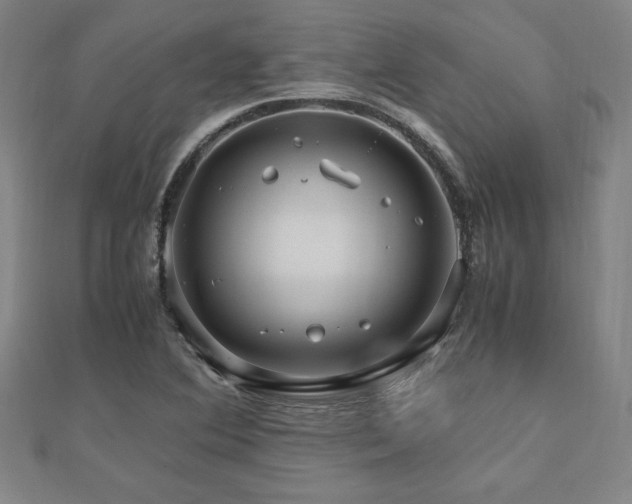 X0000112511364200908171325