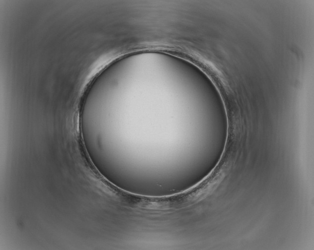 X0000112511365200908171325