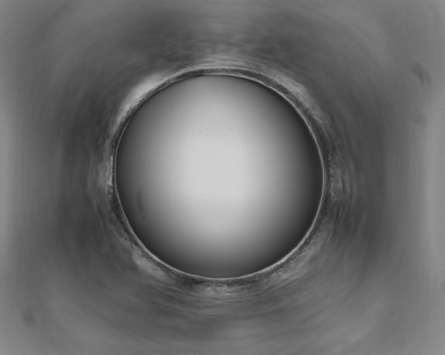 X0000112511366200908171325
