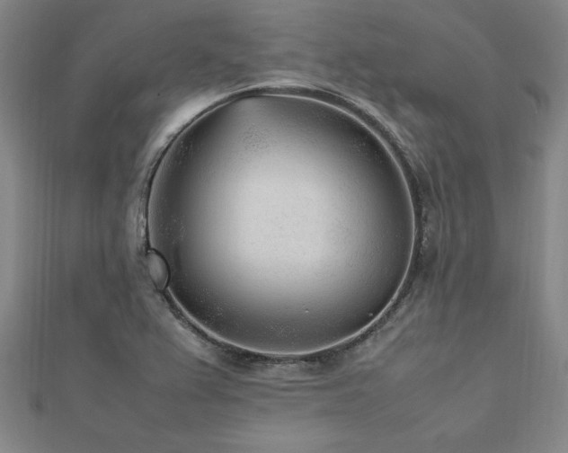X0000112511367200908171325
