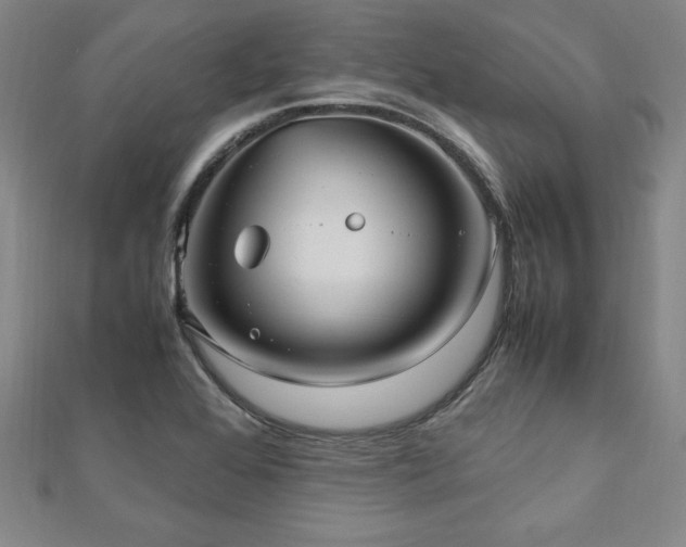 X0000112511368200908171325